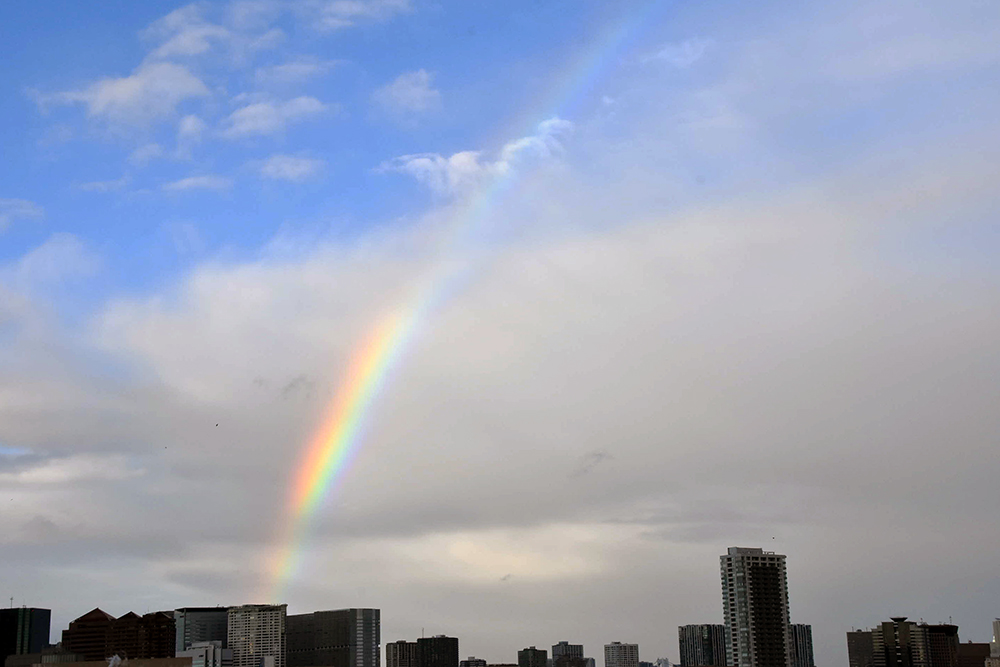 東南の空にかかった虹